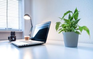 desk with a laptop and plant